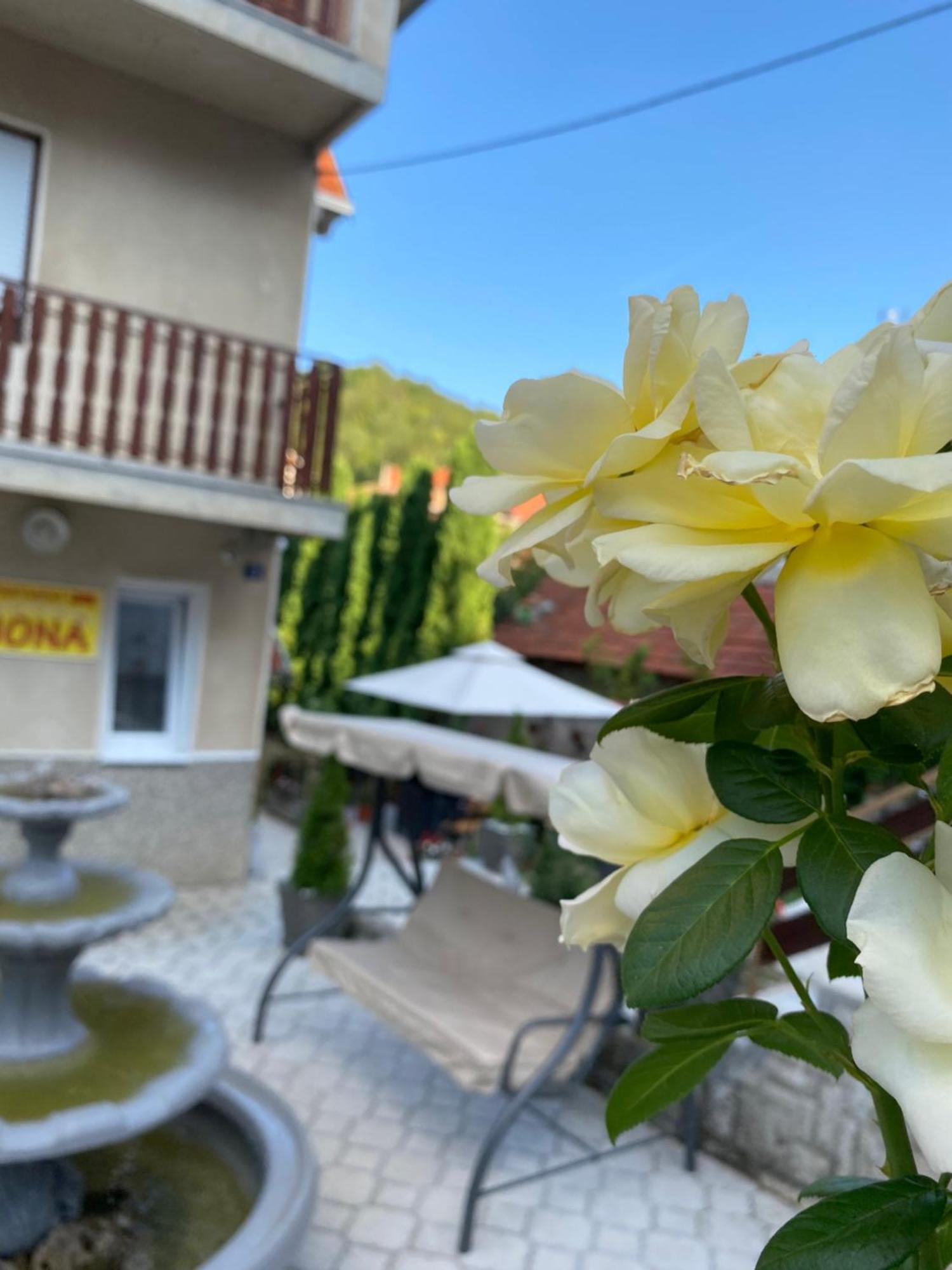 64 m2, 2 yatak odalı, 1 banyolu Daire, Tutunovic Podrum bölgesinde Ni Dış mekan fotoğraf